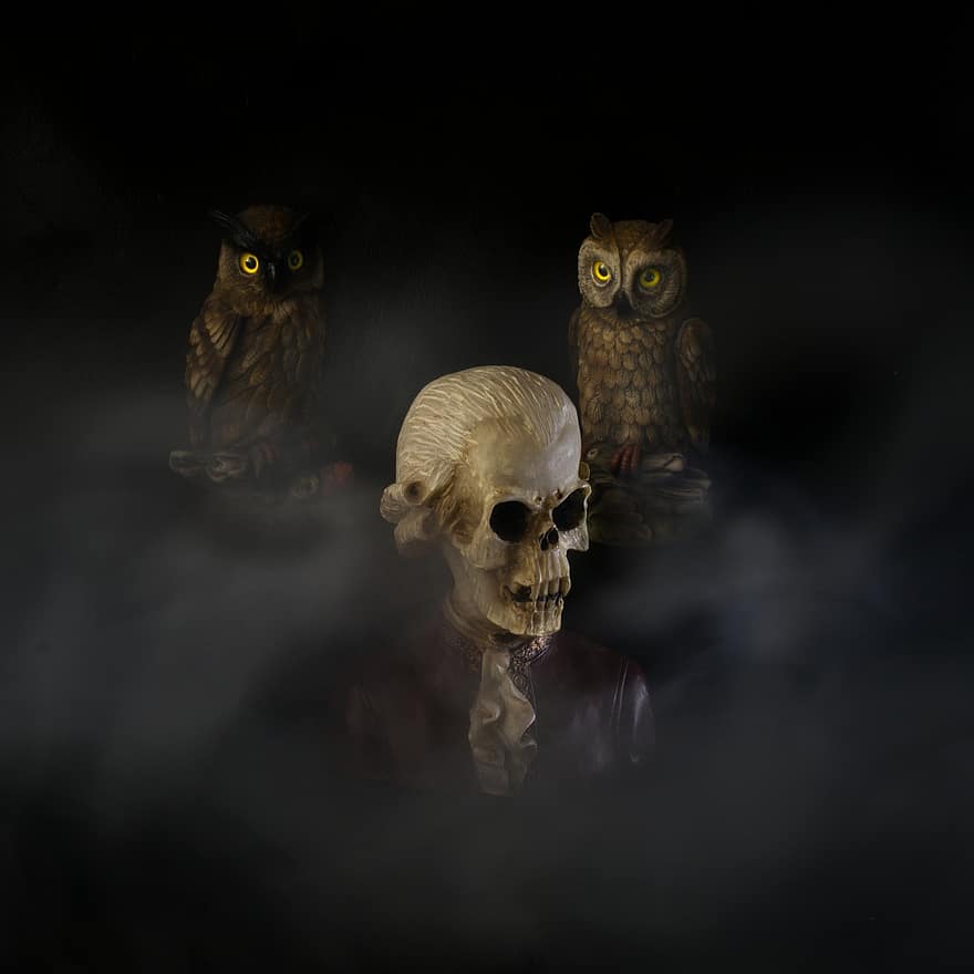 crâne, brouillard, fantaisie, terrifiant, foncé, horreur, Halloween, gothique, mystérieux, ténèbres