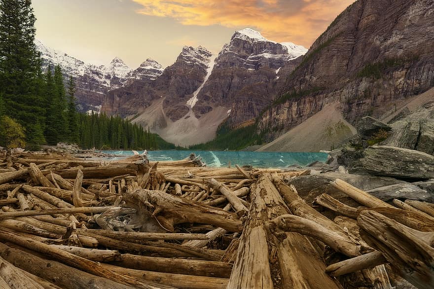 lac moraine, bois flotté, parc national Banff, Montagne, Lac, les journaux, le coucher du soleil, lever du soleil, forêt, Canada, banff
