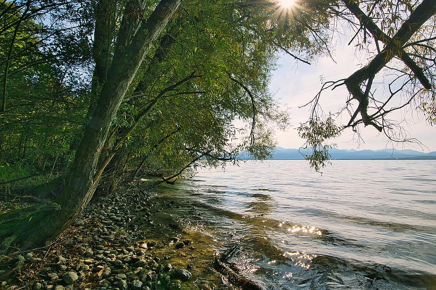 Riva del fiume, lago, natura, alberi, soleggiato, luce del sole, paesaggio