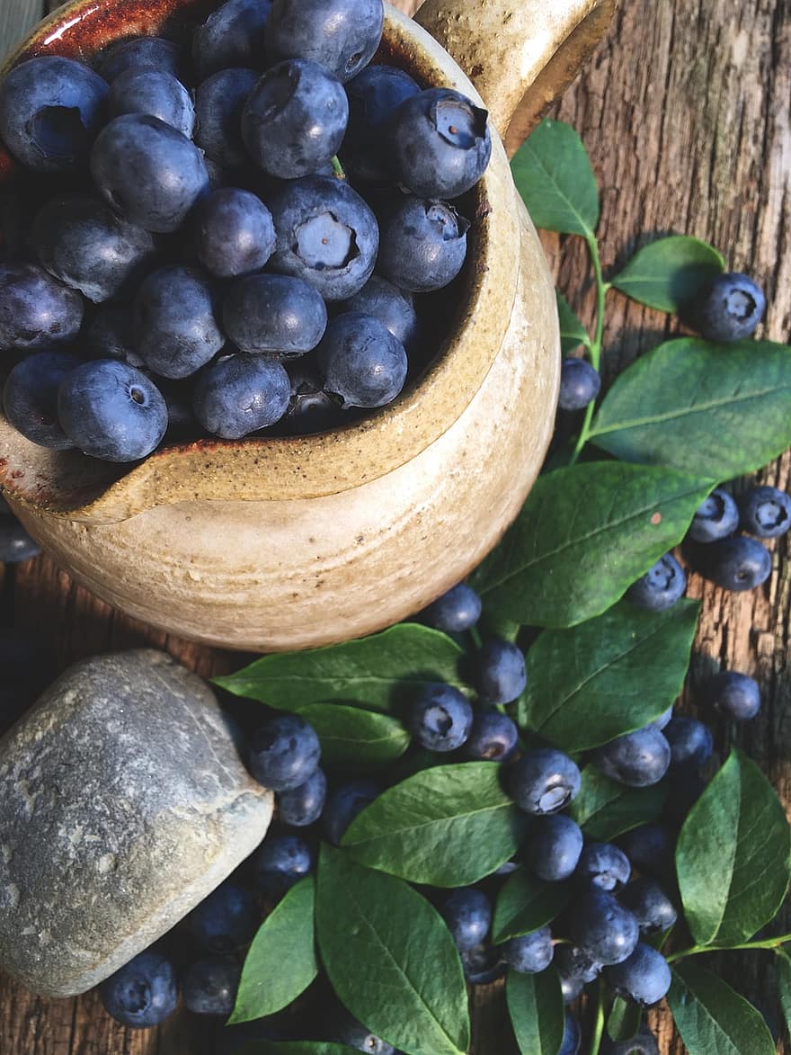 블루 베리, 과일, 열매, 식품, 익은, 수확, 생기게 하다, 본질적인, 신선한, 맛있는