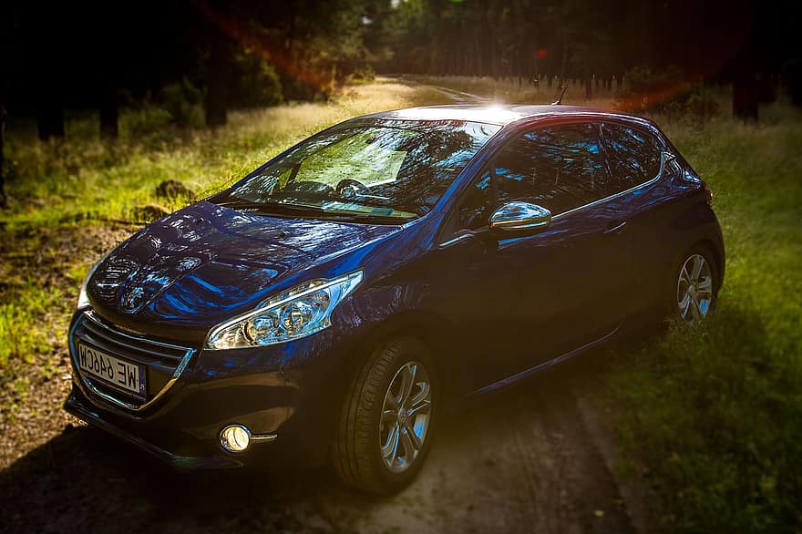 peugeot, Peugeot 208, mežs, auto, meža ceļš