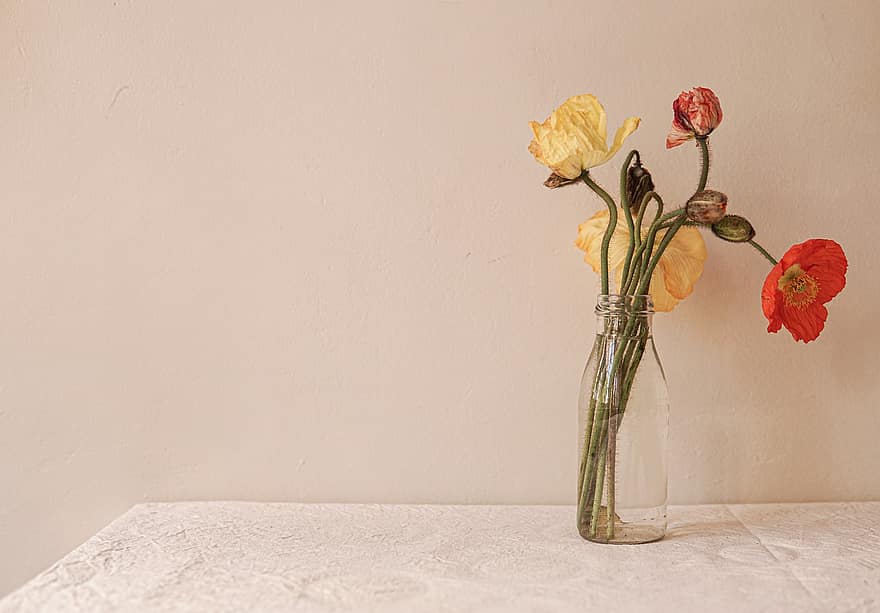 flors, bouquet, rosella, configuració de la taula