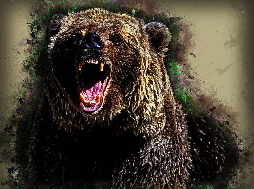 beruang, hewan, mamalia, bulu, predator, binatang buas, dunia Hewan, lukisan