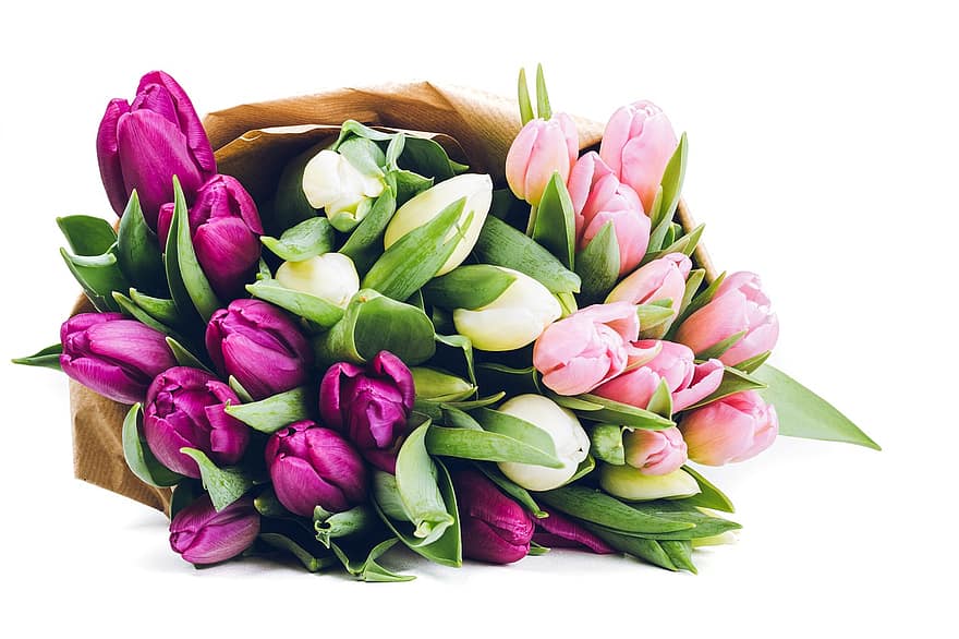 blomster, tulipaner, vår, blomst, tulipan, bukett, friskhet, blomsterhodet, anlegg, blad, våren