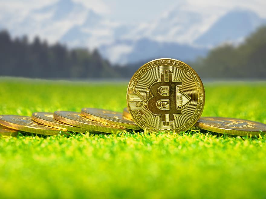 bitcoin, kryptowaluta, trawnik, krajobraz, góry, las, waluta, blok, łańcuch, wirtualny, moneta