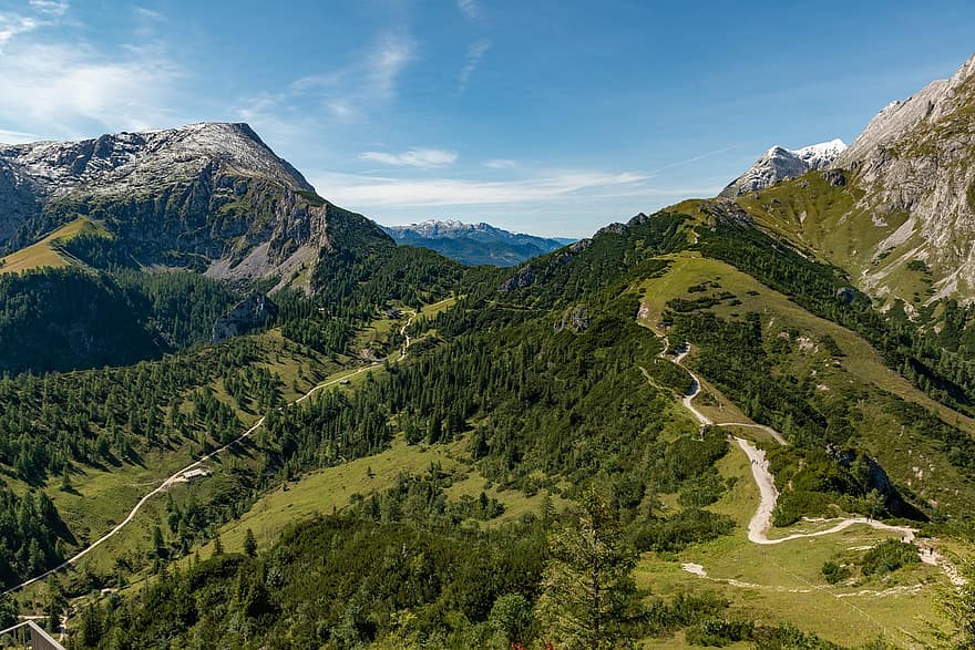 alpin, Gipfel, Pfad, Alpen, Weg, Bergweg, Bergpfad, Naturpfad, Naturlehrpfad, Nadelbäume, Nadelholz