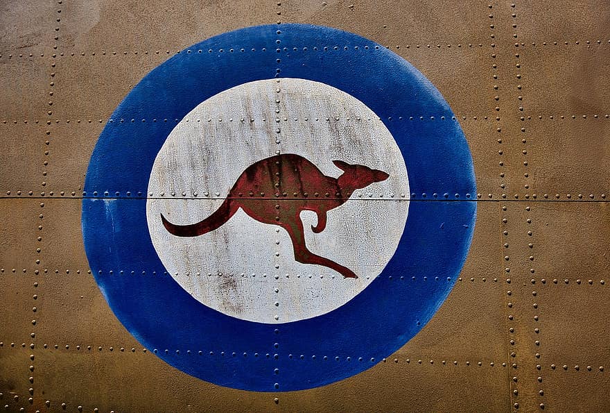 Kengūra, oro pajėgos, logotipas, apvalus, karinis, karališkoji australų oro pajėgos