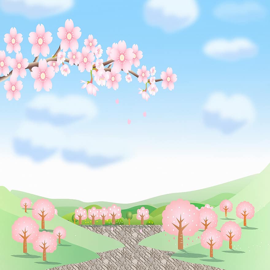 Japanischer Sakura-Hintergrund, Bäume, Himmel, Pfad, Wolken, Sakura-Blüte, Landschaft, Frühling, Natur, April, Rosa