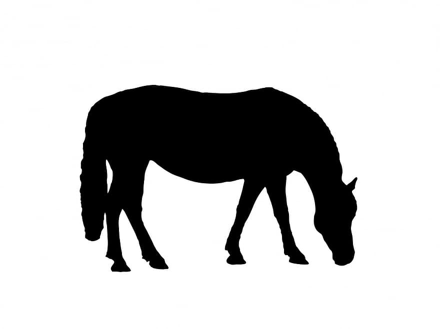 Horse, Pony, Equine, Animal, Black, Silhouette, Grazing, White, Background, Art, Outline