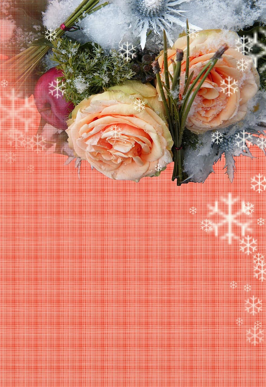 feliz Natal, cartão, fundo, vermelho, toalha de mesa, xadrez, flocos de neve, flores, Bouquet de Inverno