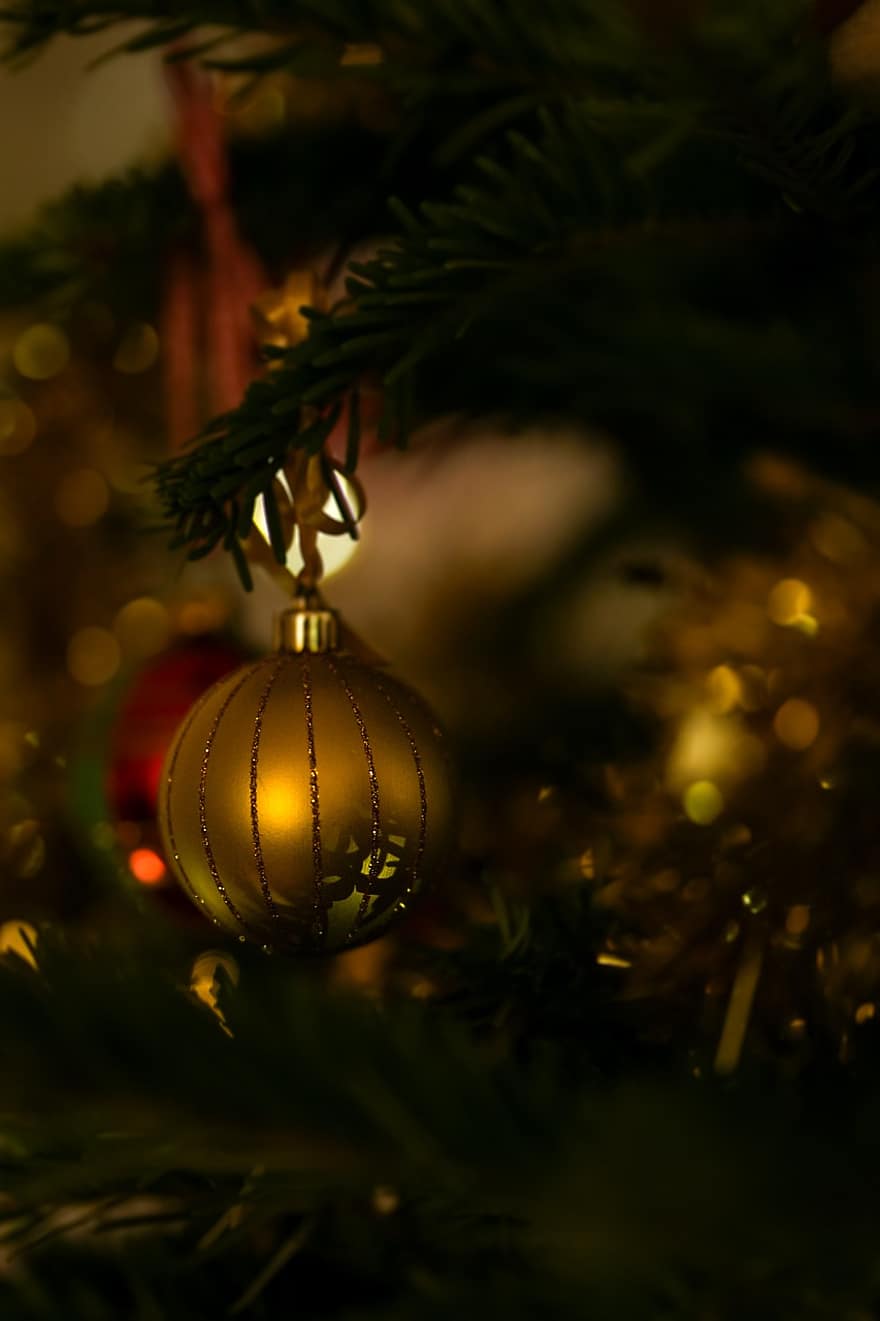 palla di Natale, albero di Natale, Natale, ornamento, fronzolo, decorazione natalizia, Avvento, decorazione