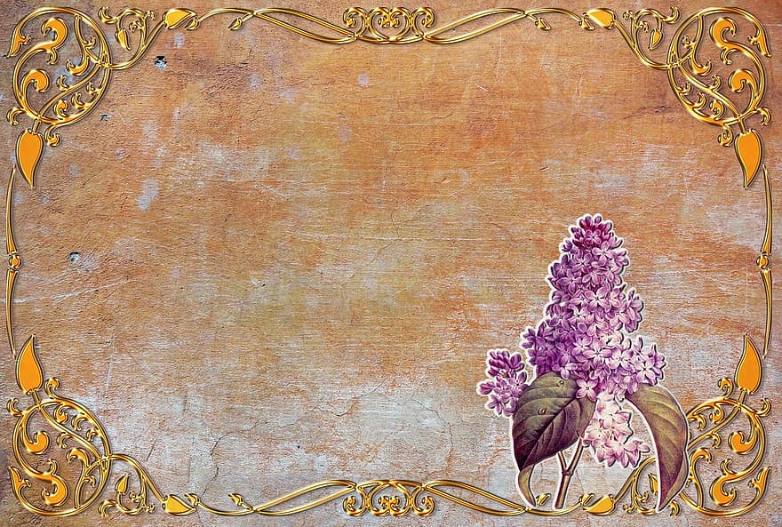 Texture, Background, Paper, Stationery, Lilac, Ornaments, Ornament, Frame, Gold, Blossom, Bloom