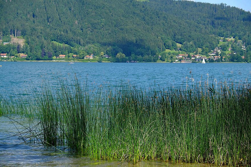 montagne, lago, erba, natura, acqua, Tegernsee, Alta Baviera, alpino, paesaggio, Germania, Baviera
