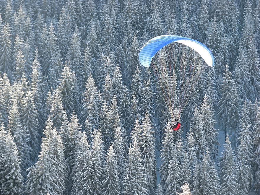 skärmflygning, flygande, skog, träd, fallskärm, paraglider, flyg, äventyr, sport, Fritidsaktivitet