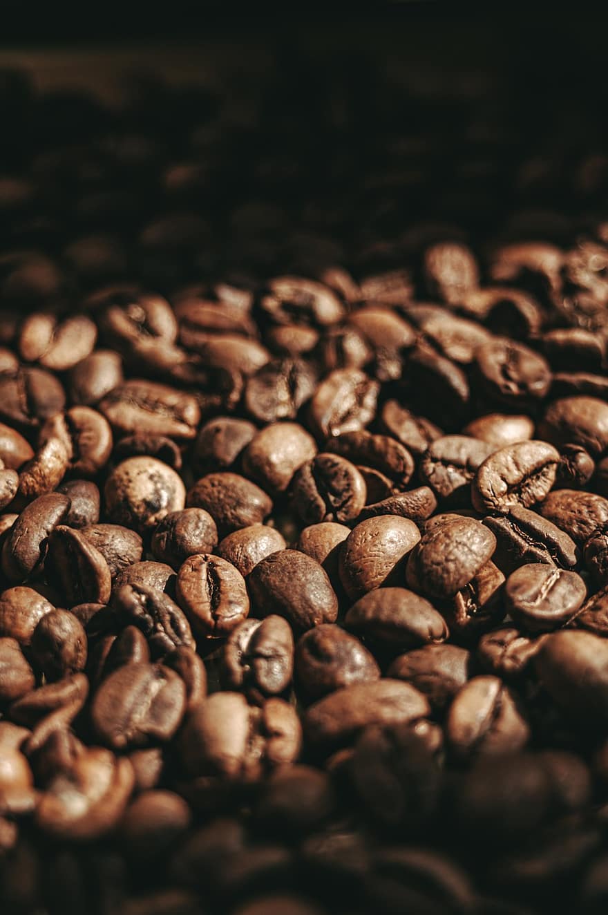 コーヒー、コーヒー豆、芳香族の、穀類、香り、成長、閉じる、豆、きらきら、マクロ、ドリンク