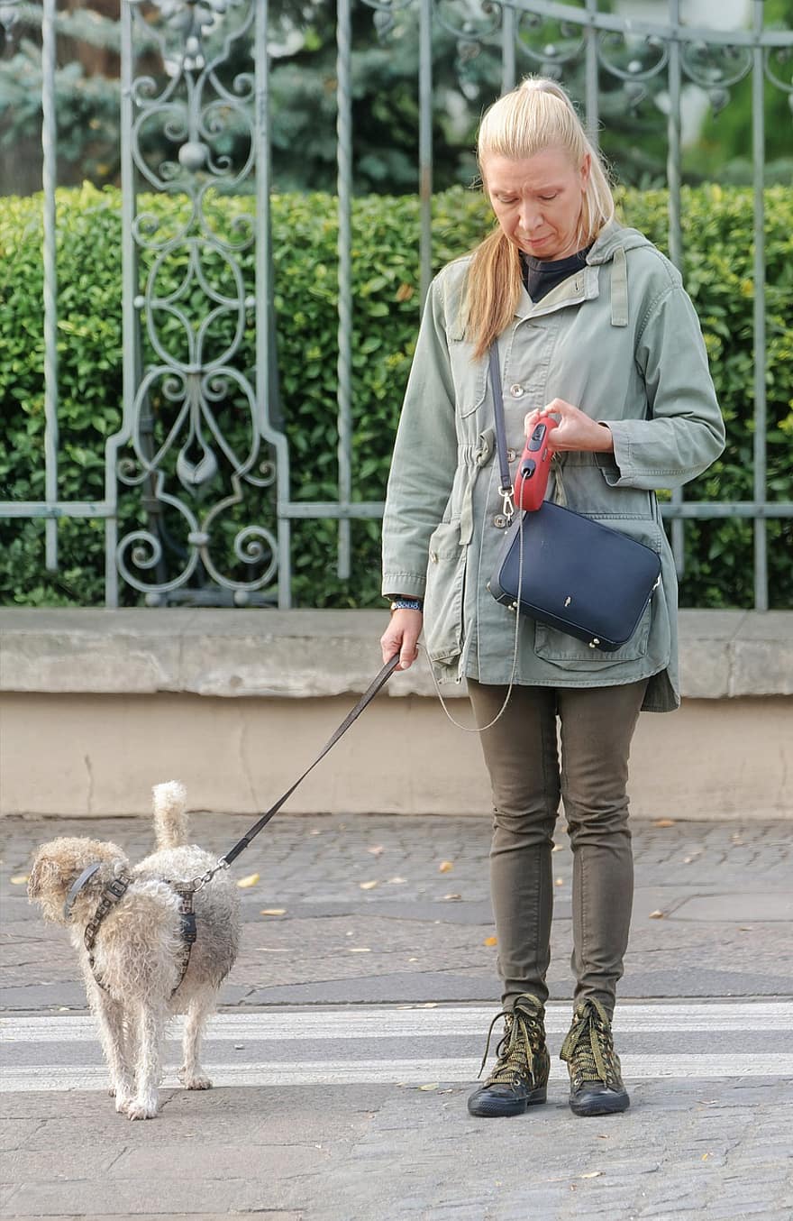 여자, 착한 애, 그녀의 개를 산책, 횡단 보도, 개, 동물, 도시의, 도시의 삶