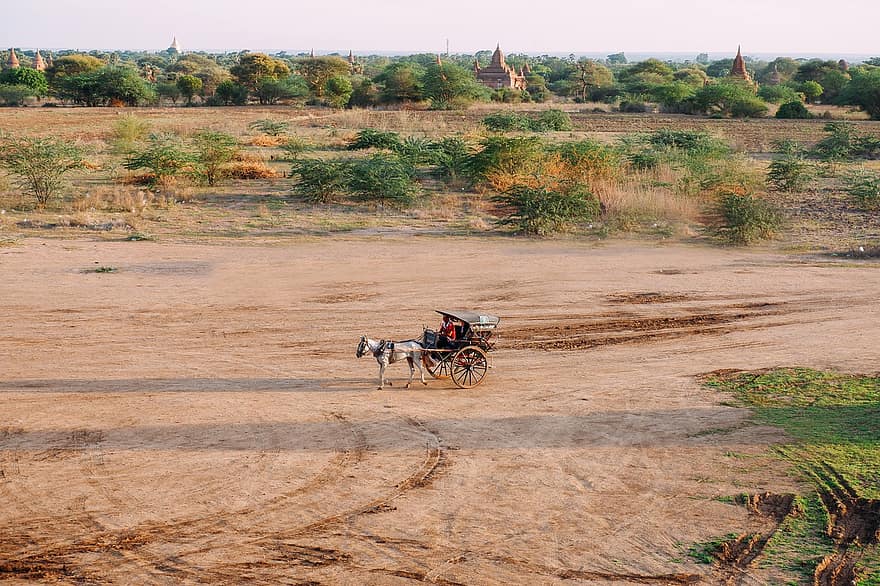 landskap, slettene, vogn, heste vogn, mål, historisk, Bagan