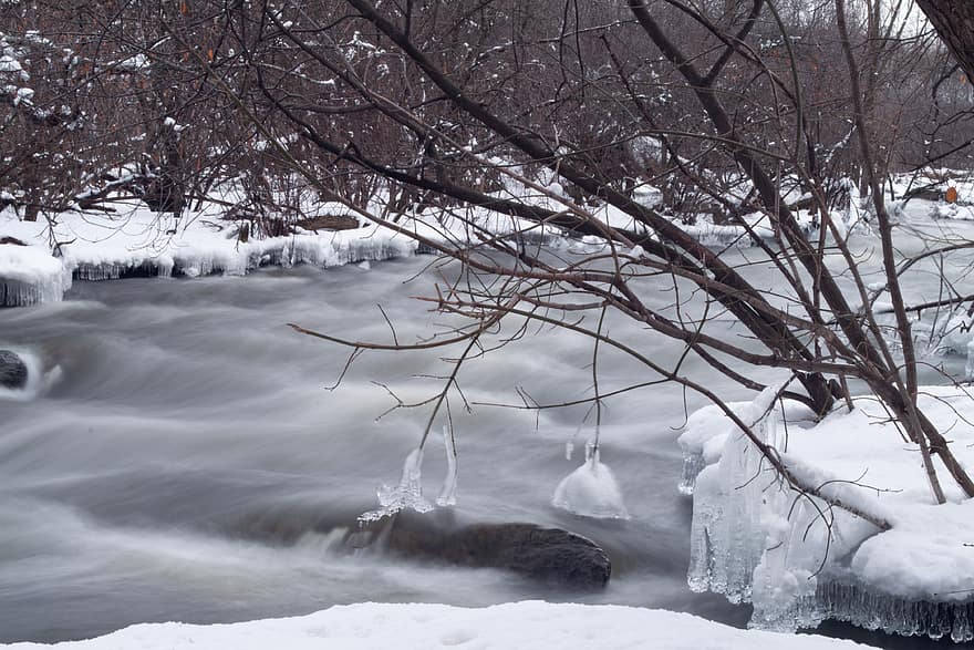 frozen, nature, river, water, cold, forest, season, snow, tree, winter, stream