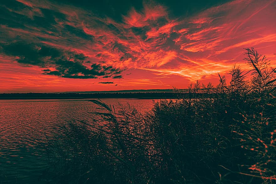 soumrak, jezero, Příroda, rákosí, rostlin, silueta, voda, nebe, mraky, temný, Kujavsko-pomořské vojvodství