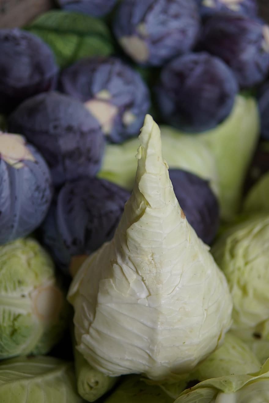 Cabbage, Vegetables, Food, Healthy, Vitamins, Harvest, Market