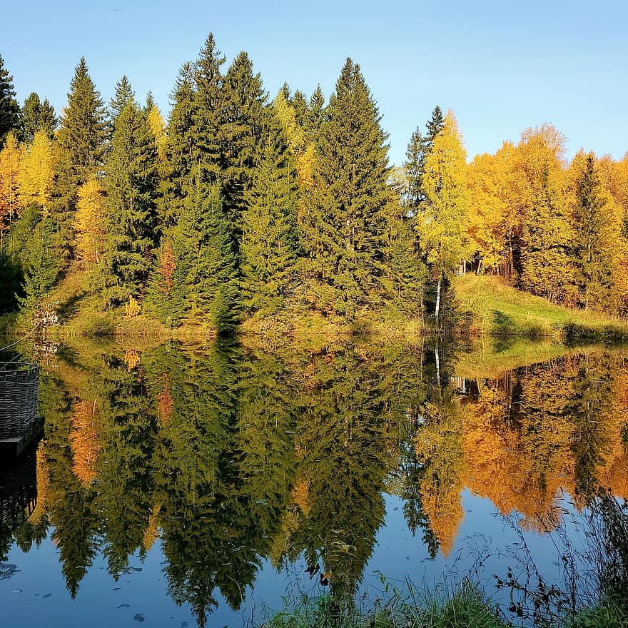 自然、森林、湖、水、池、秋、木、屋外、黄、風景、反射