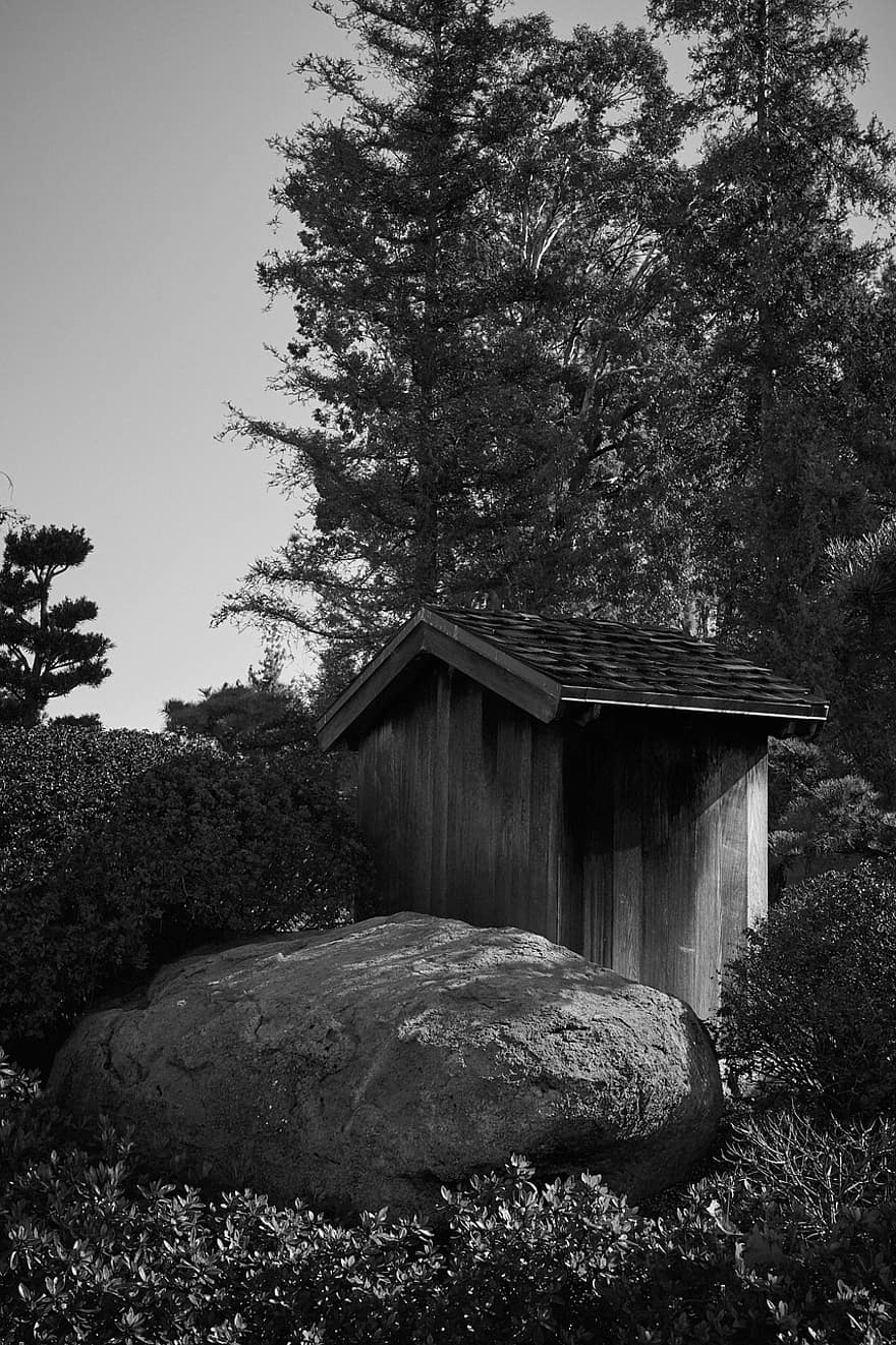 Outhouse, Japanese Outhouse, Wooden Outhouse, Garden, tree, rural scene, forest, grass, old, landscape, wood