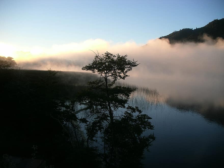 lago, nubes, amanecer, silueta, plantas, reflexión, agua, brumoso, niebla, silencio, tranquilo