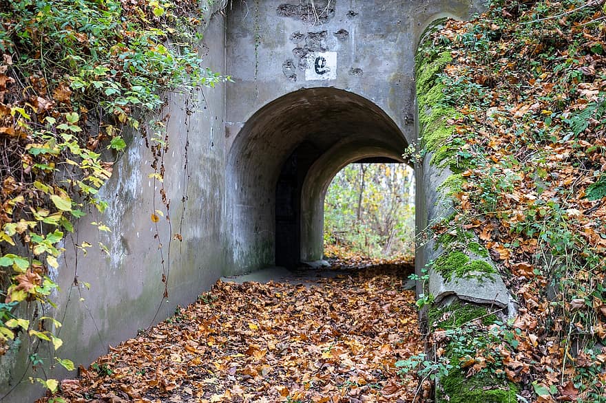 forts, tunelis, raksturs, Pomiechówek, Fort III Pomiechówek, nocietinājumu, cietoksnis, modlina cietoksnis, rudenī, lapas, arhitektūra