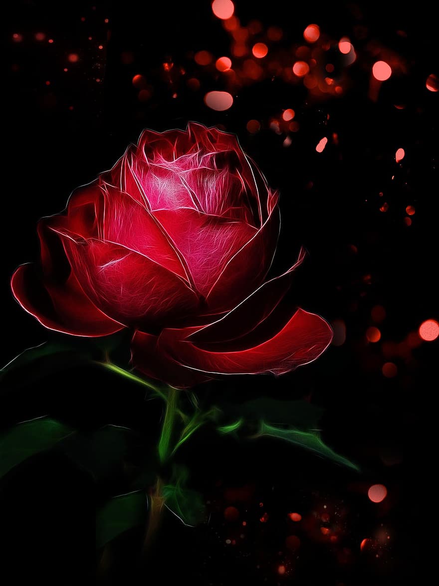 Róża, fractalius, czerwony, magia, świecący, kwitnąć, kwiat, miłość, piękno, romantyk, Natura