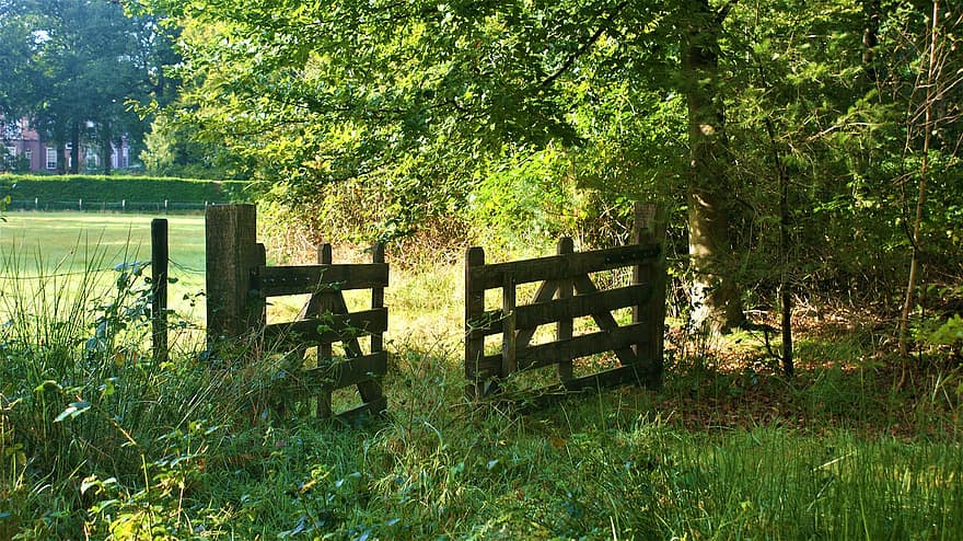 Farm, Fence, Wooden Gate, Farm Gate, Fencing, Pasture, Meadow, Tree, Grassland, Rural, Nature