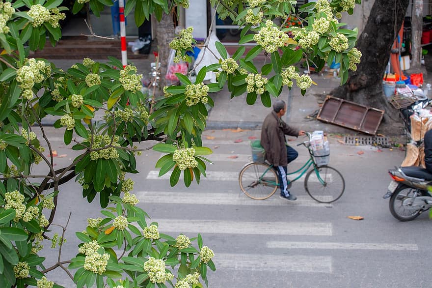 strada, vita di città, Hanoi, Vietnam