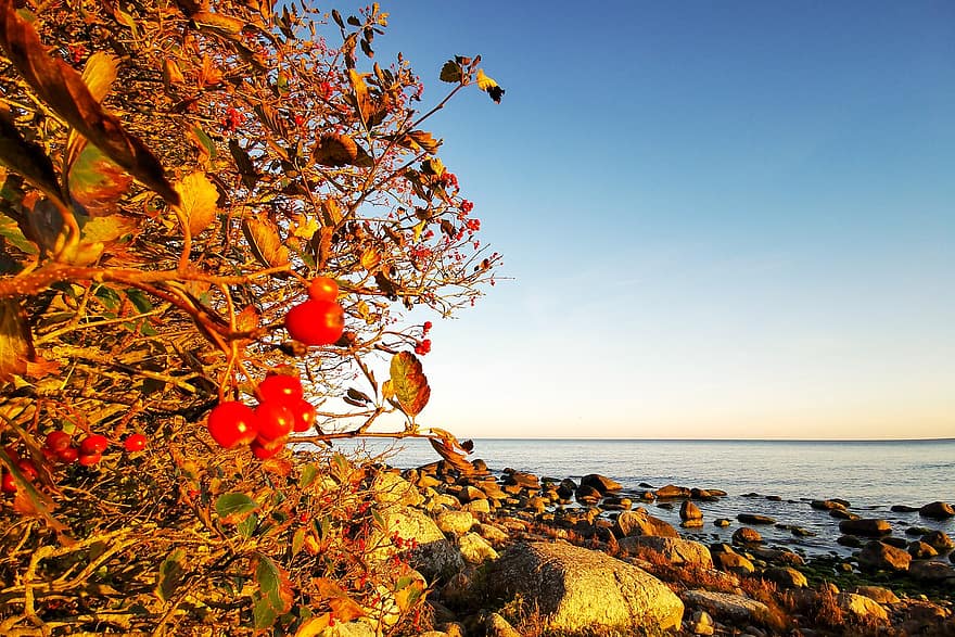 природи, осінь, море, падіння, Пляжний, сезон, на відкритому повітрі