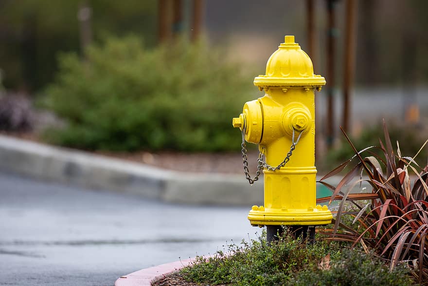 brand, hydrant, veiligheid, geel, bescherming, metaal, noodgeval, uitrusting, water, stad, straat