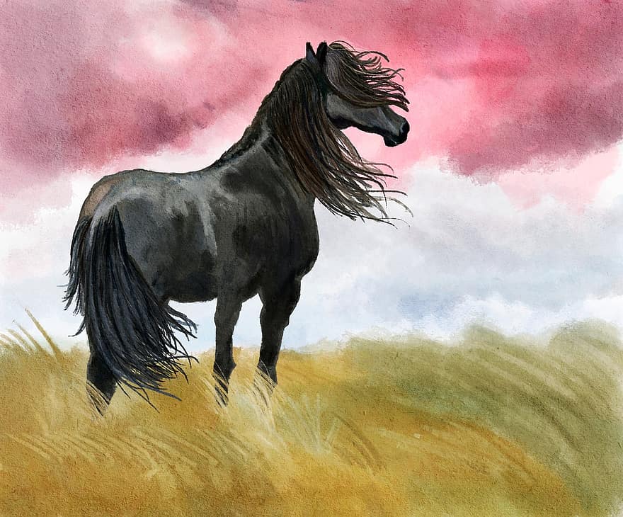 illustration, häst, äng, svart, vind, djur-, stolt
