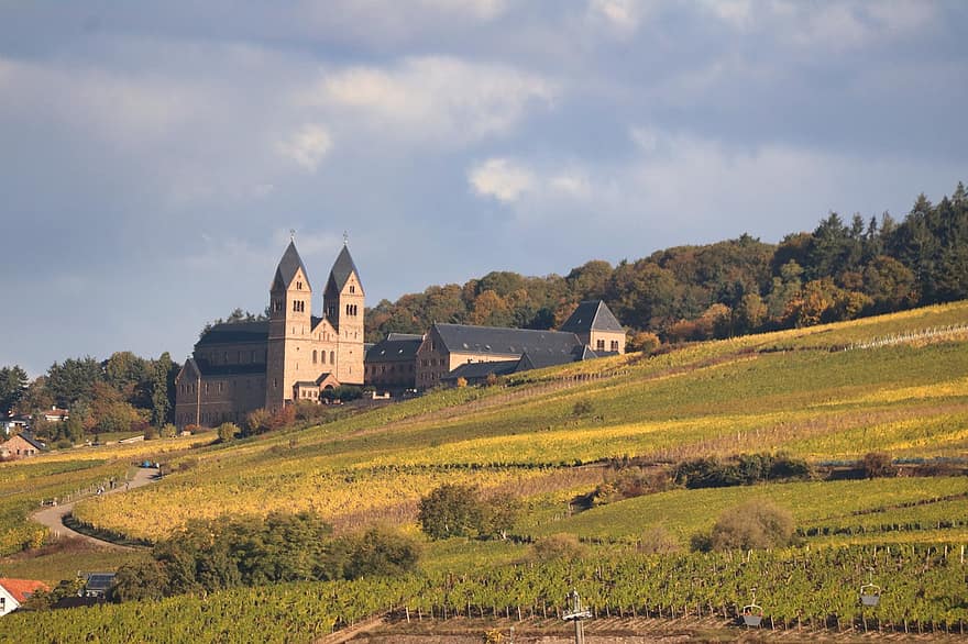 bokštai, vienuolynas, vynuogynas, Abatijos Šv, Hildegardas, Bingen