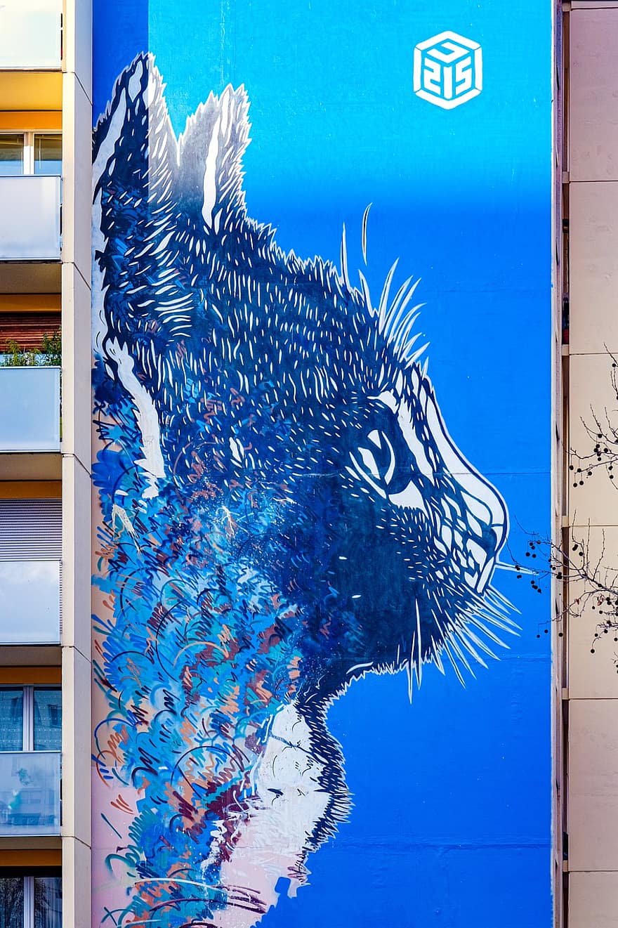 falfirkálás, városi, macska, Párizs