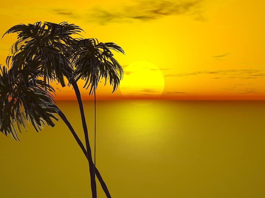 puesta de sol, Dom, naturaleza, cielo, mar, naranja, Oceano, palmera, verano, planta, romántico