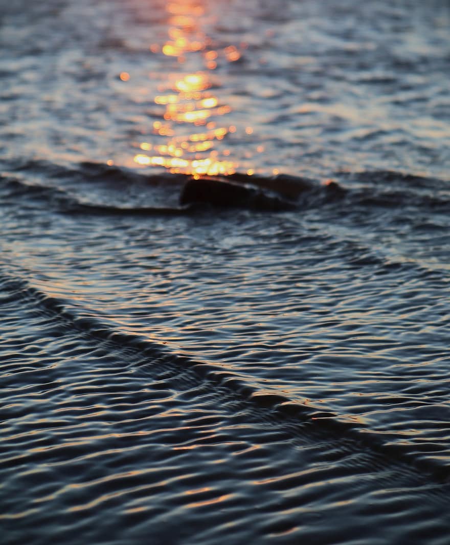 hav, vann, bølger, Strand, bølge, solnedgang, bakgrunn, refleksjon, abstrakt, sommer, sollys