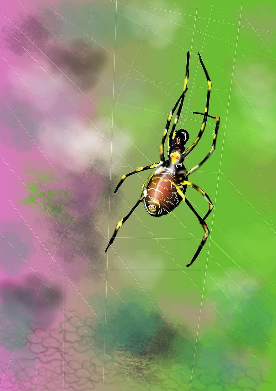 aranha, aranha de vespa, inseto, pernas, rede, multicolorido, teia de aranha, aracnídeo, fechar-se, assustador, origens