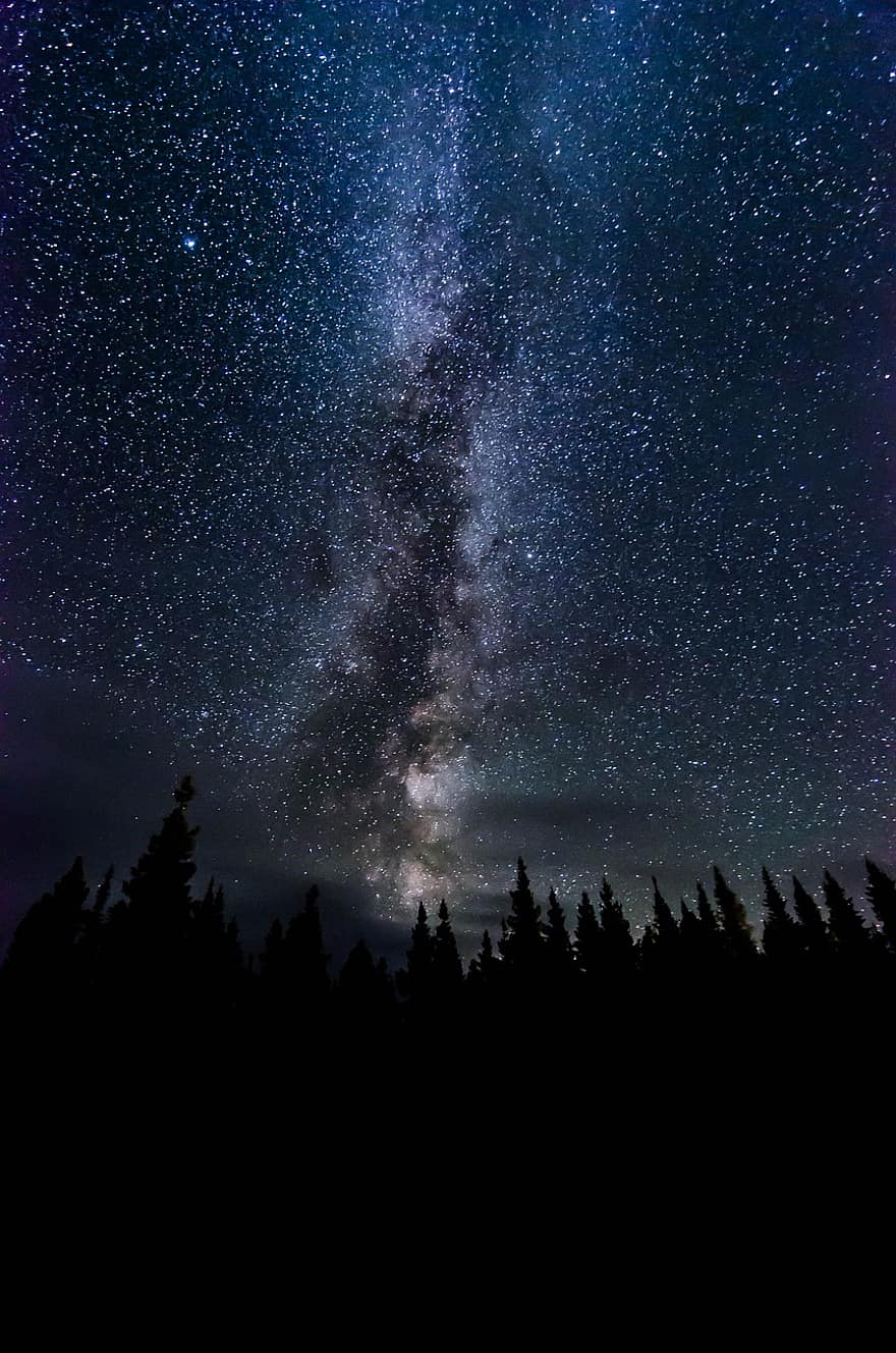 nakts debesis, piena ceļš, koki, siluets, naktī, galaktika, telpa, zvaigznes, Visumu, debesis, kosmoss