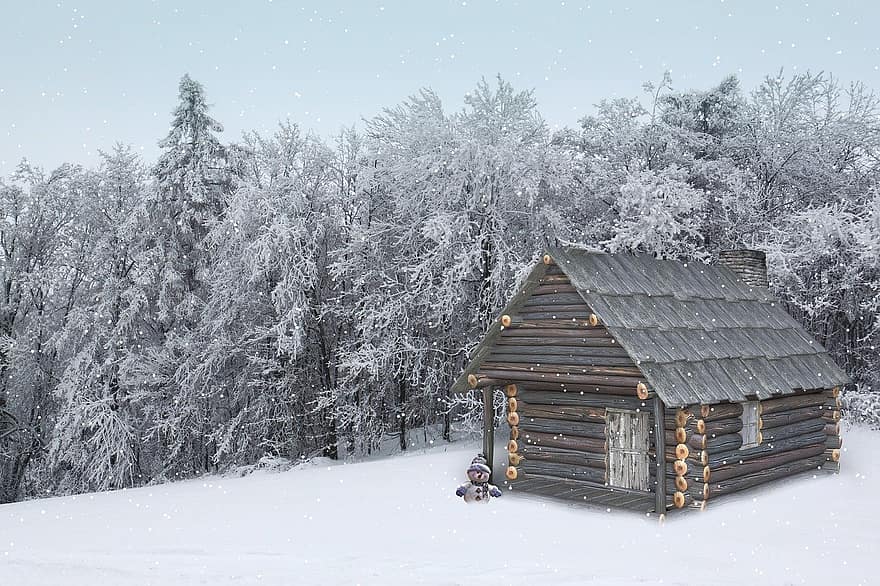 mùa đông, cabin, rừng, gỗ, chòi
