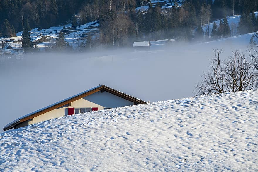 hivern, ciutat, suïssa, boira, neu, turó, cases, paisatge, nevat, a l'aire lliure, muntanya