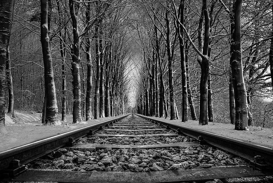 dzelzceļš, ceļš, koks, bezgalīgs, sniegs, jomā, melns balts, pierre