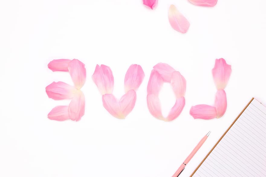 Valentins Dag, blomst, kærlighed, romantik, notesbog, noter, skrive, forhold