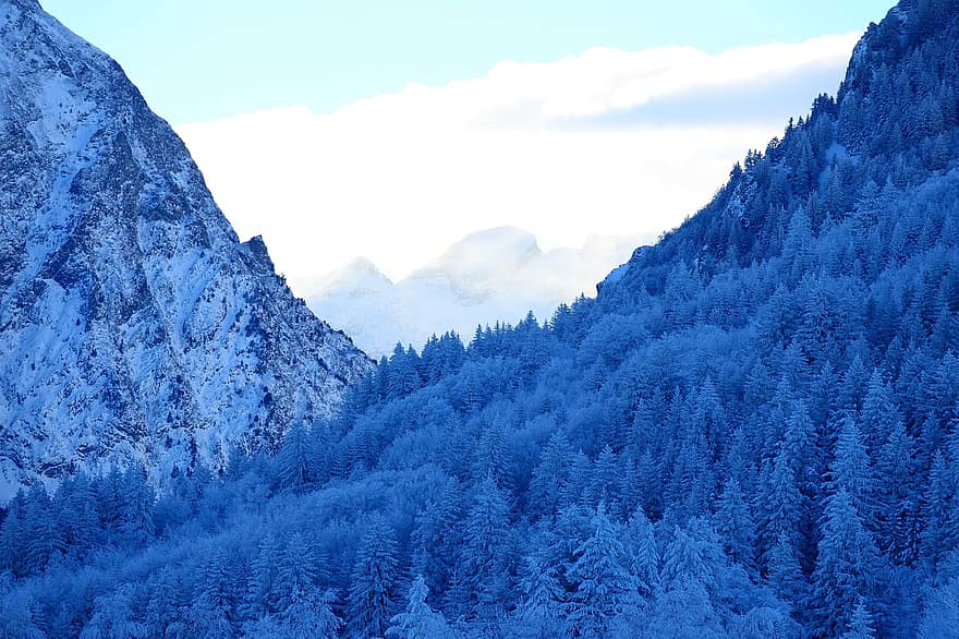 vuoret, lumi, kuusi, metsä, talvi-, kylmä, joulu, Ranska, luonto
