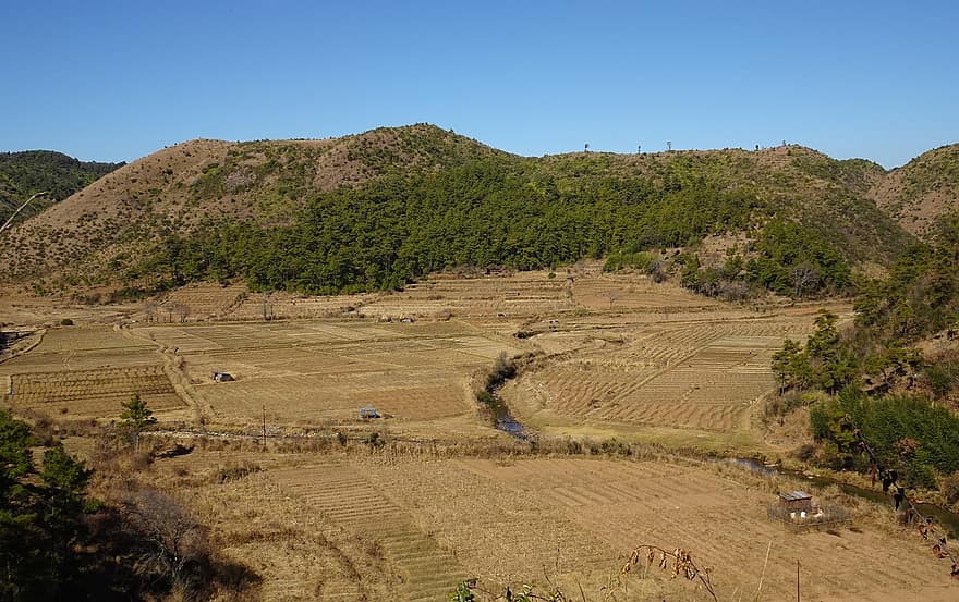 Valley, Hills, Terraced, Farming, Plateau, Settlement, Village, Agriculture, Meghalaya