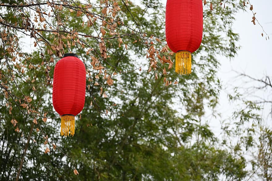 lámpa, fesztivál, dekoráció, Művészet, kínai kultúra, ünneplés, kultúrák, hagyományos fesztivál, kínai lámpa, függő, keleti ázsiai kultúra