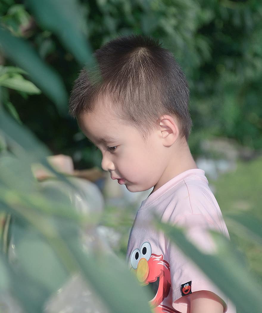 Child, Baby, Boy, Outdoors, boys, cute, childhood, one person, small, cheerful, summer