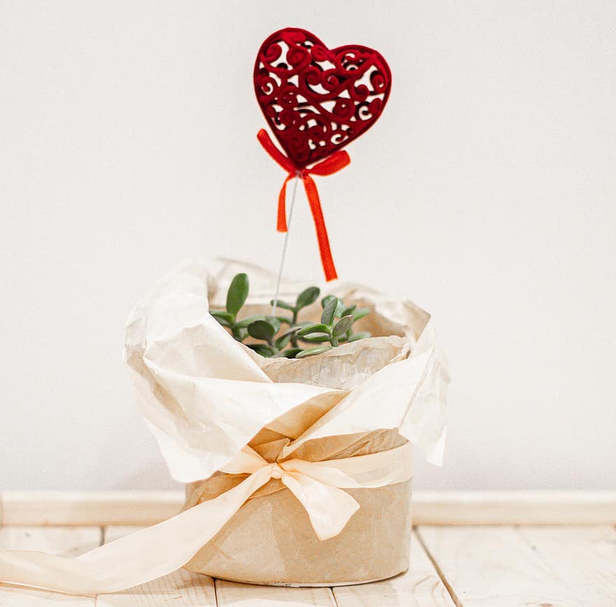 Pflanze, Herz, Valentinstag, Geschenk, Liebe, Überraschung, Dekoration, Romantik, Holz, Herzform, Lebensmittel