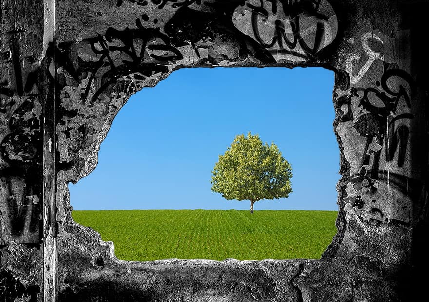 lubang, bidang, pohon, alam